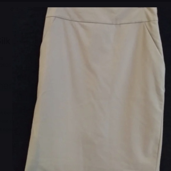 Eileen Fisher Silk Lined Bone Color Classic Pencil Skirt w/Pockets 2 - Picture 2 of 3